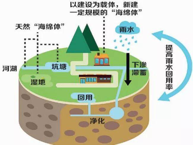 雨水收集利用系統(tǒng)都被應(yīng)用到什么領(lǐng)域？