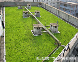 生態(tài)多孔纖維棉的問世為我國建設海綿城市提供支持